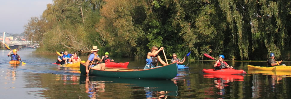 This is a much shorter text description. alt text